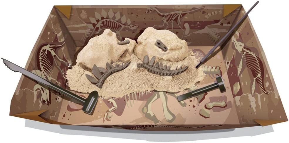 DIg a Stegosaurus