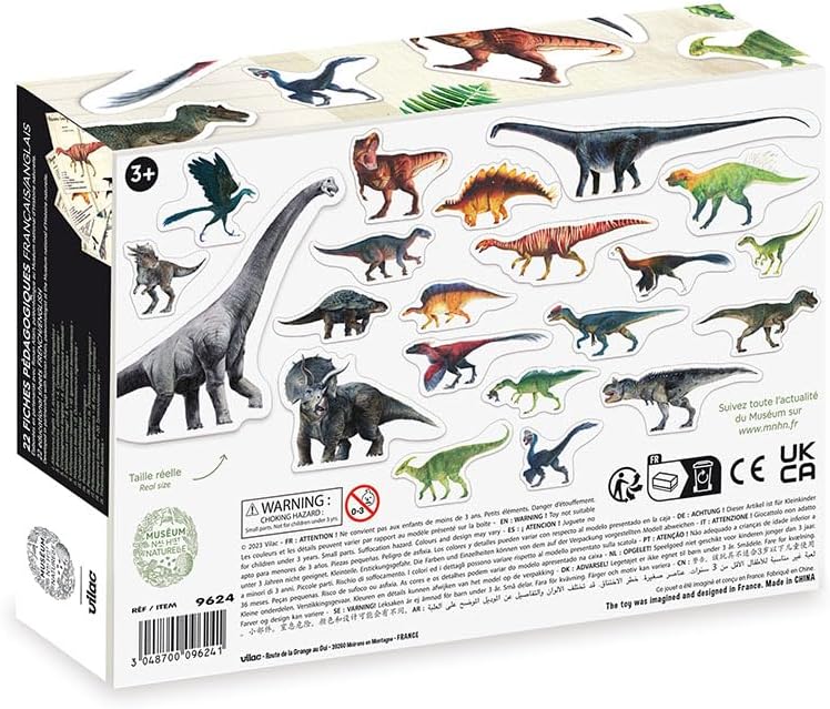 National Museum of Natural History Dinosaur Magnet Set