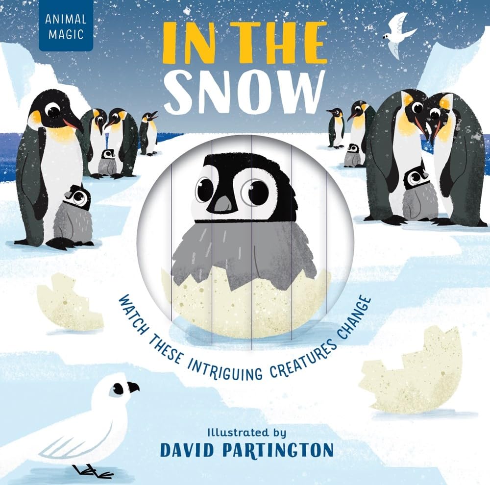 In the Snow board book