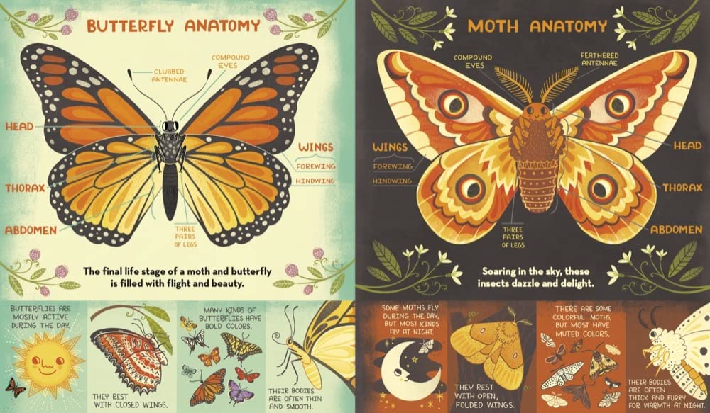 What's Inside a Caterpillar Cocoon?: And Other Questions About Moths & Butterflies