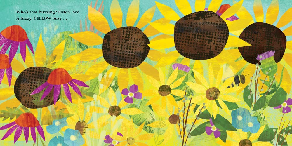 Look and Listen Who's in the Garden, Meadow, Brook?
