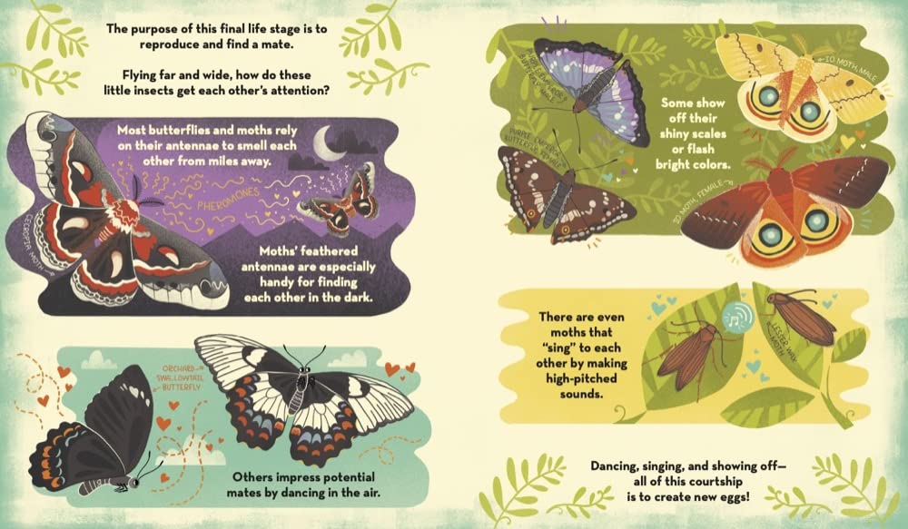 What's Inside a Caterpillar Cocoon?: And Other Questions About Moths & Butterflies