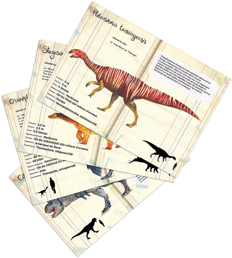 National Museum of Natural History Dinosaur Magnet Set