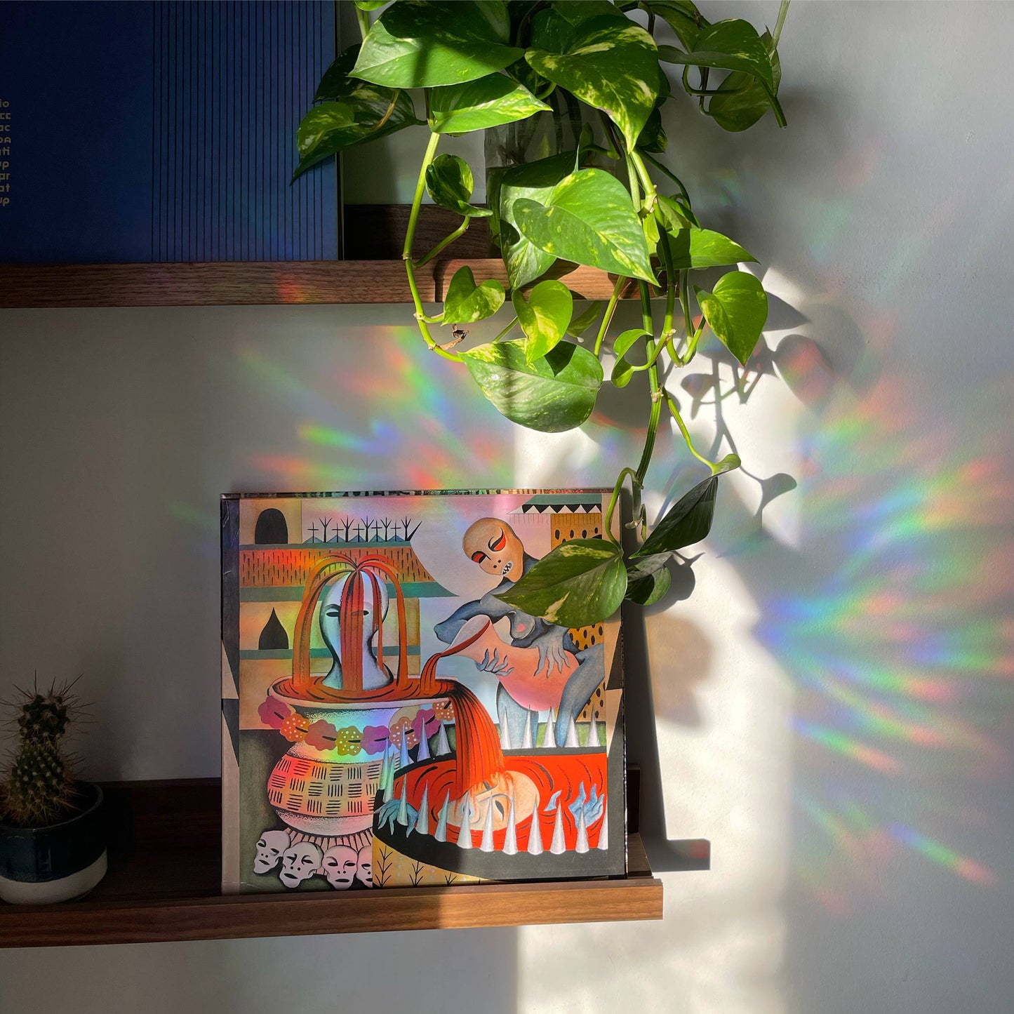 Frog Shape Suncatcher Pack