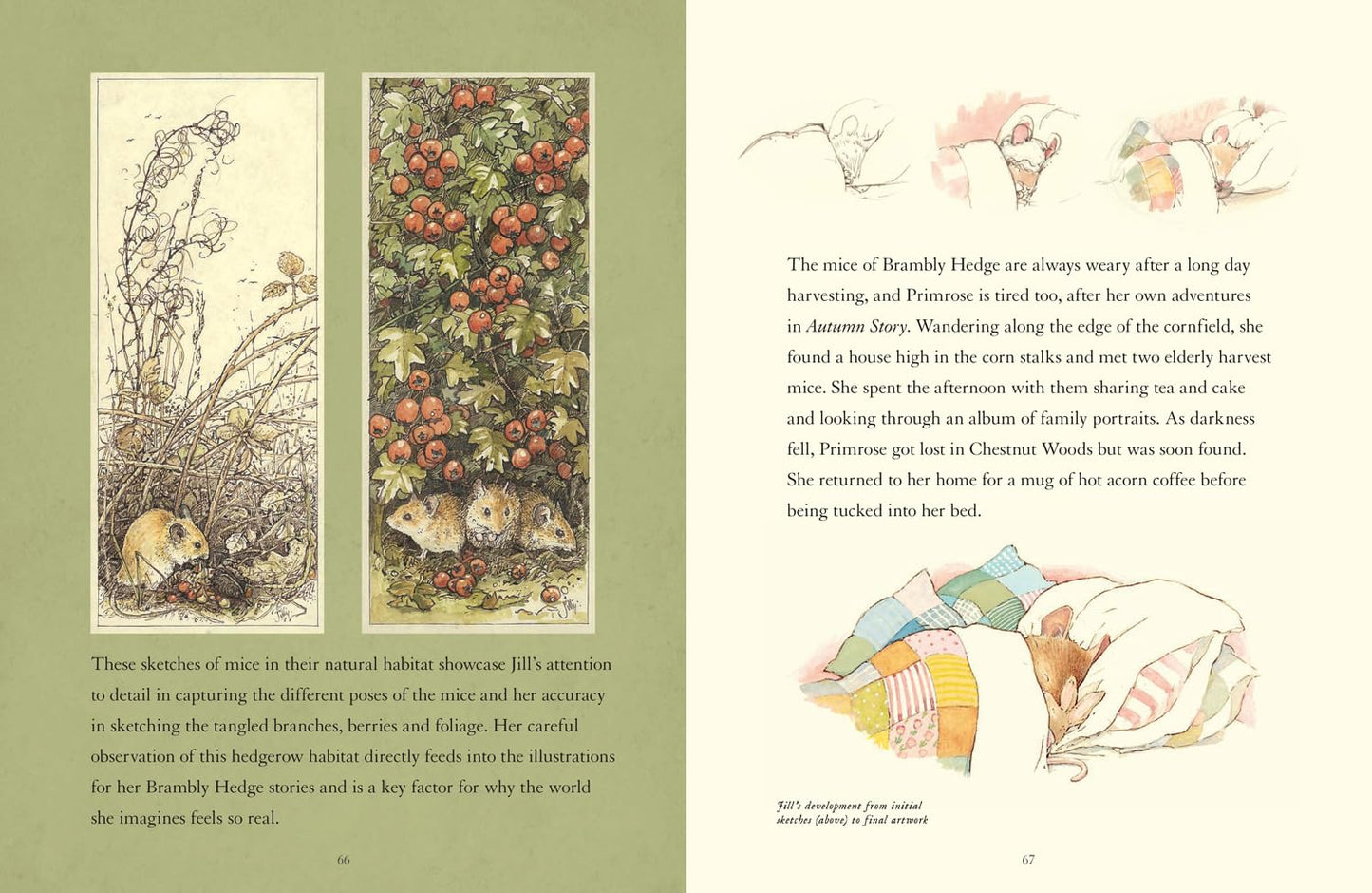 A Visit to Brambly Hedge: Imagining the World within the Hedgerow