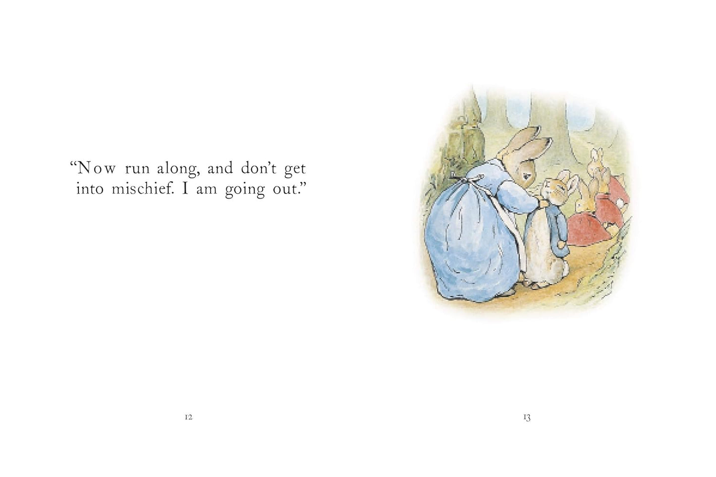 The Tale of Peter Rabbit Picture Book Board book