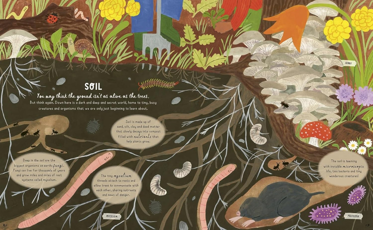 How to Grow a Garden