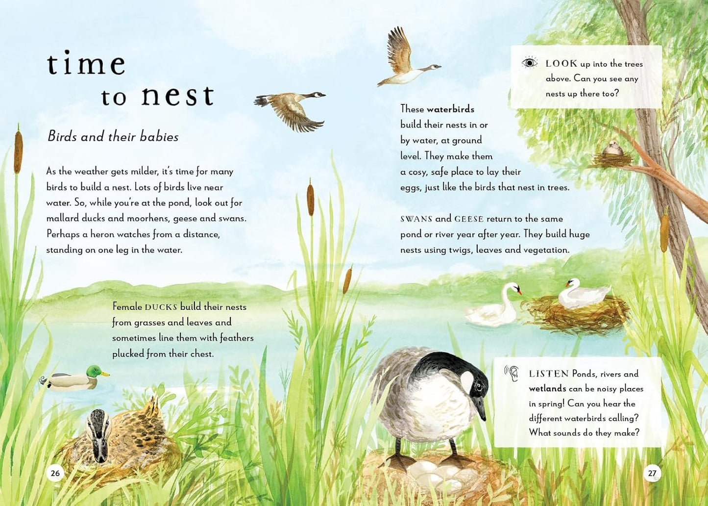 A Field Guide to Spring: Play and Learn in Nature