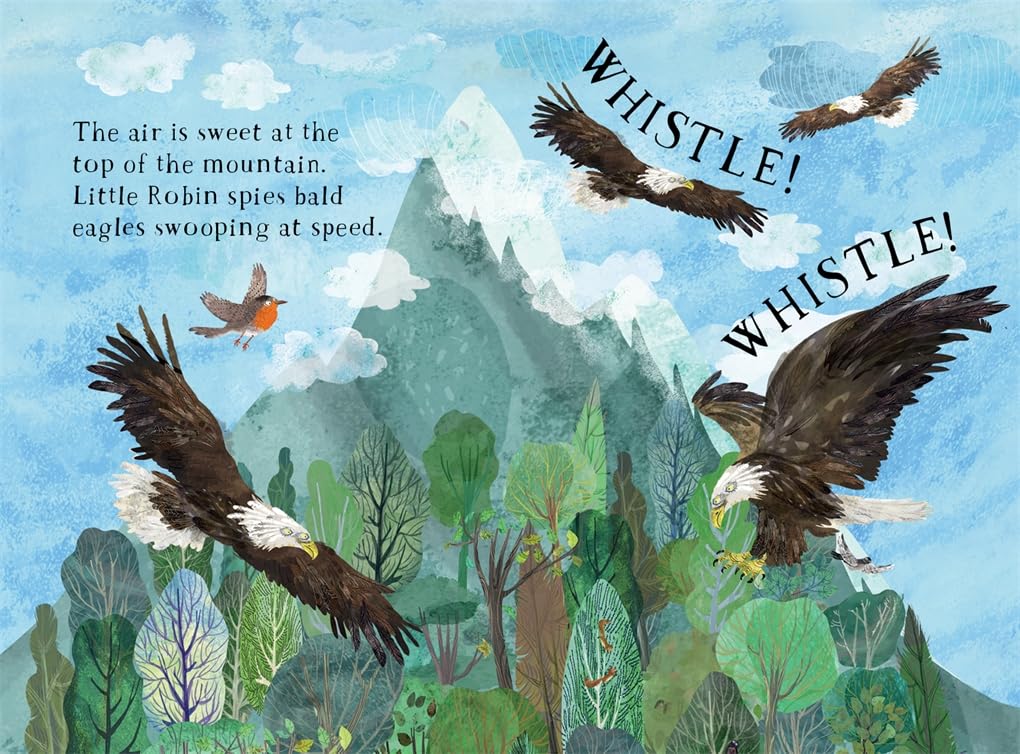 Little Robin's Book of the Birds