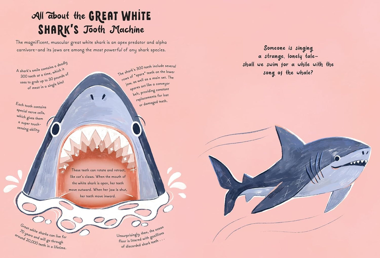 5 Minute Ocean Stories