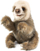 Folkmanis Baby Sloth Puppet