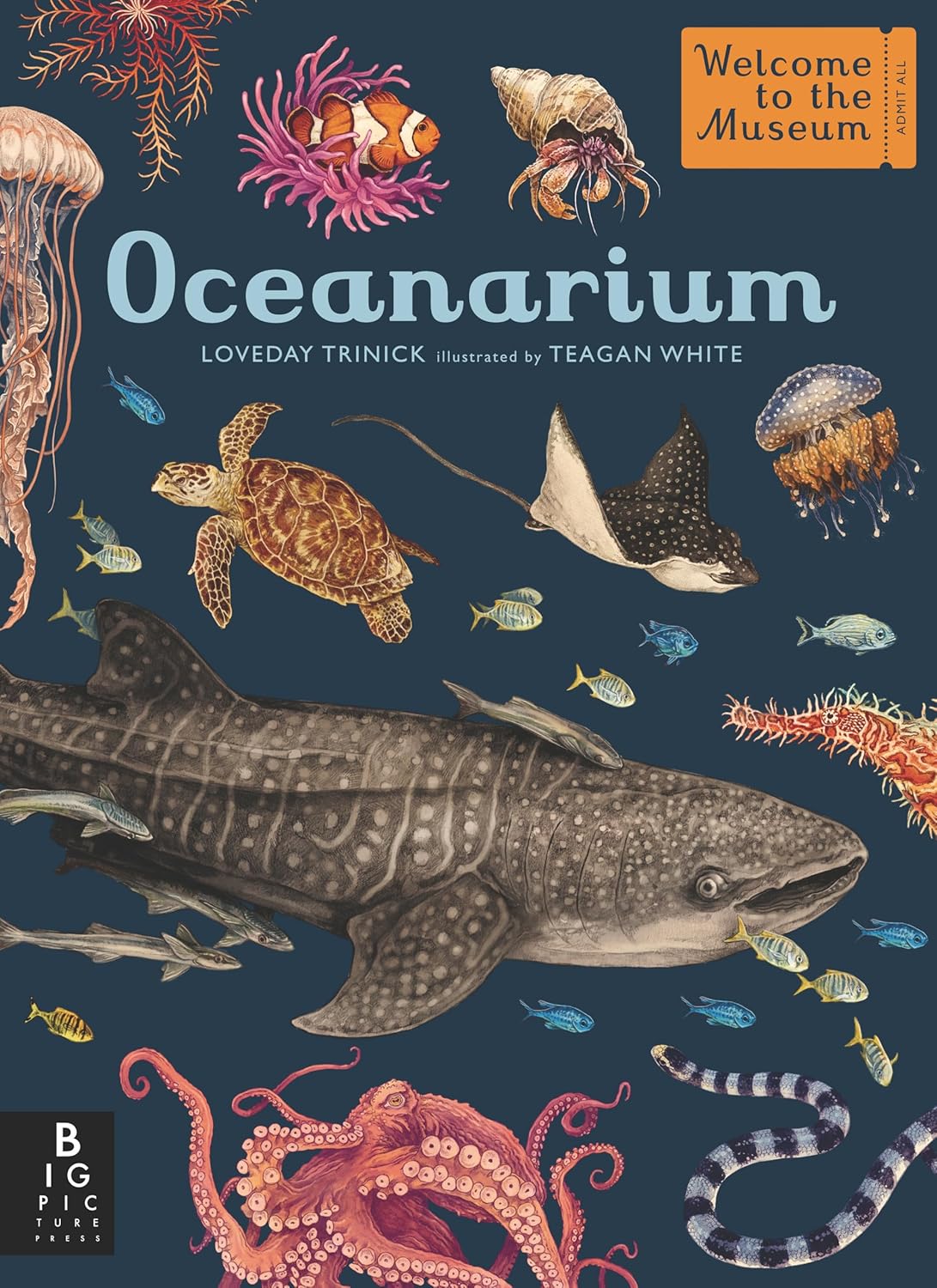 Oceanarium: Welcome to the Museum Hardcover