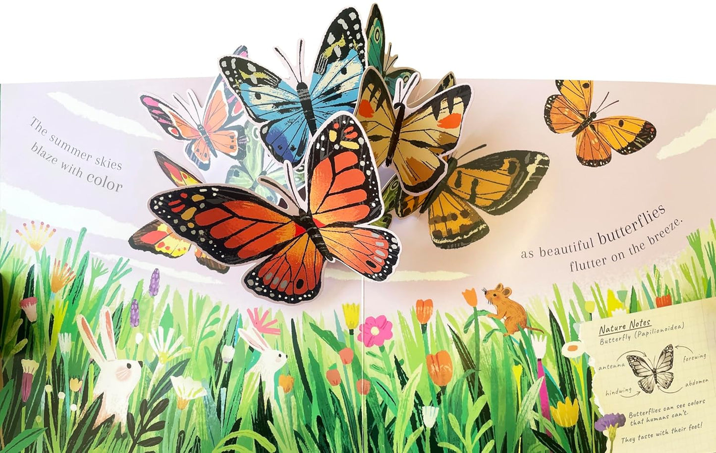 Beautiful Bugs Nature Pop-ups