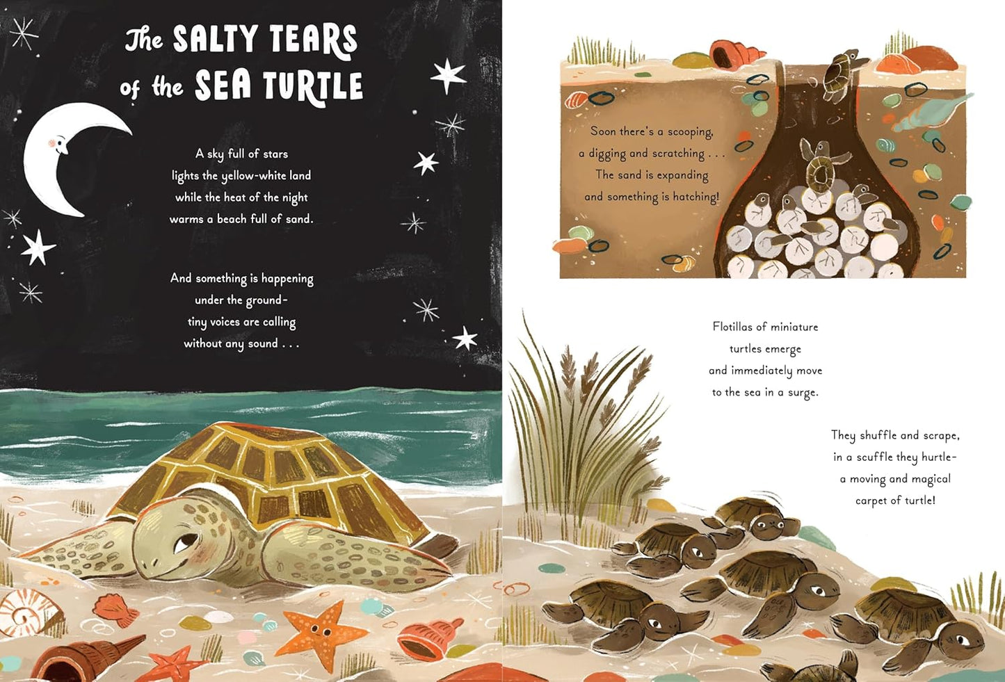 5 Minute Ocean Stories