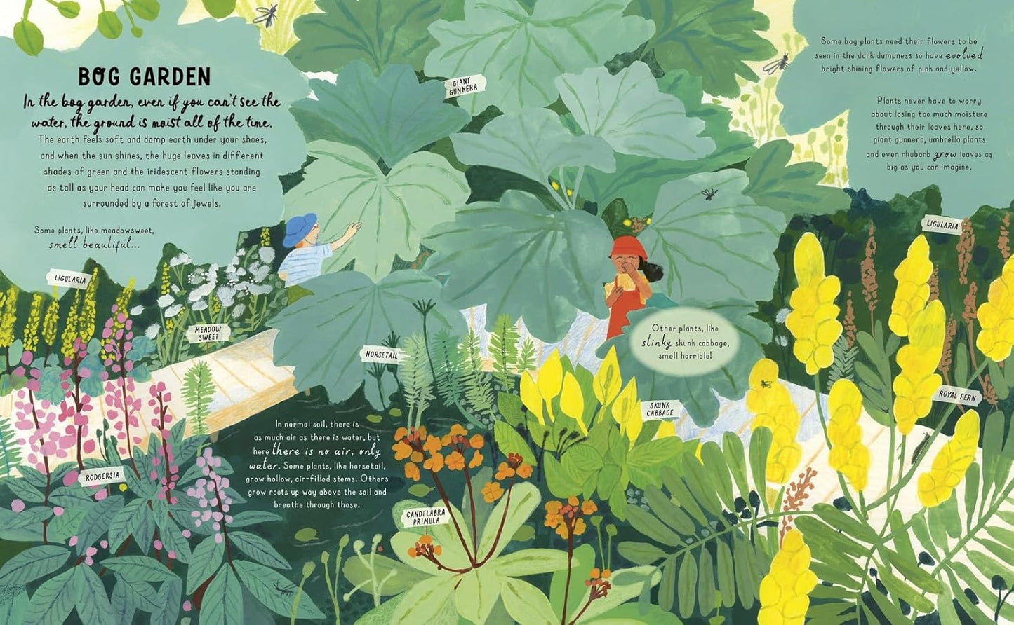 How to Grow a Garden