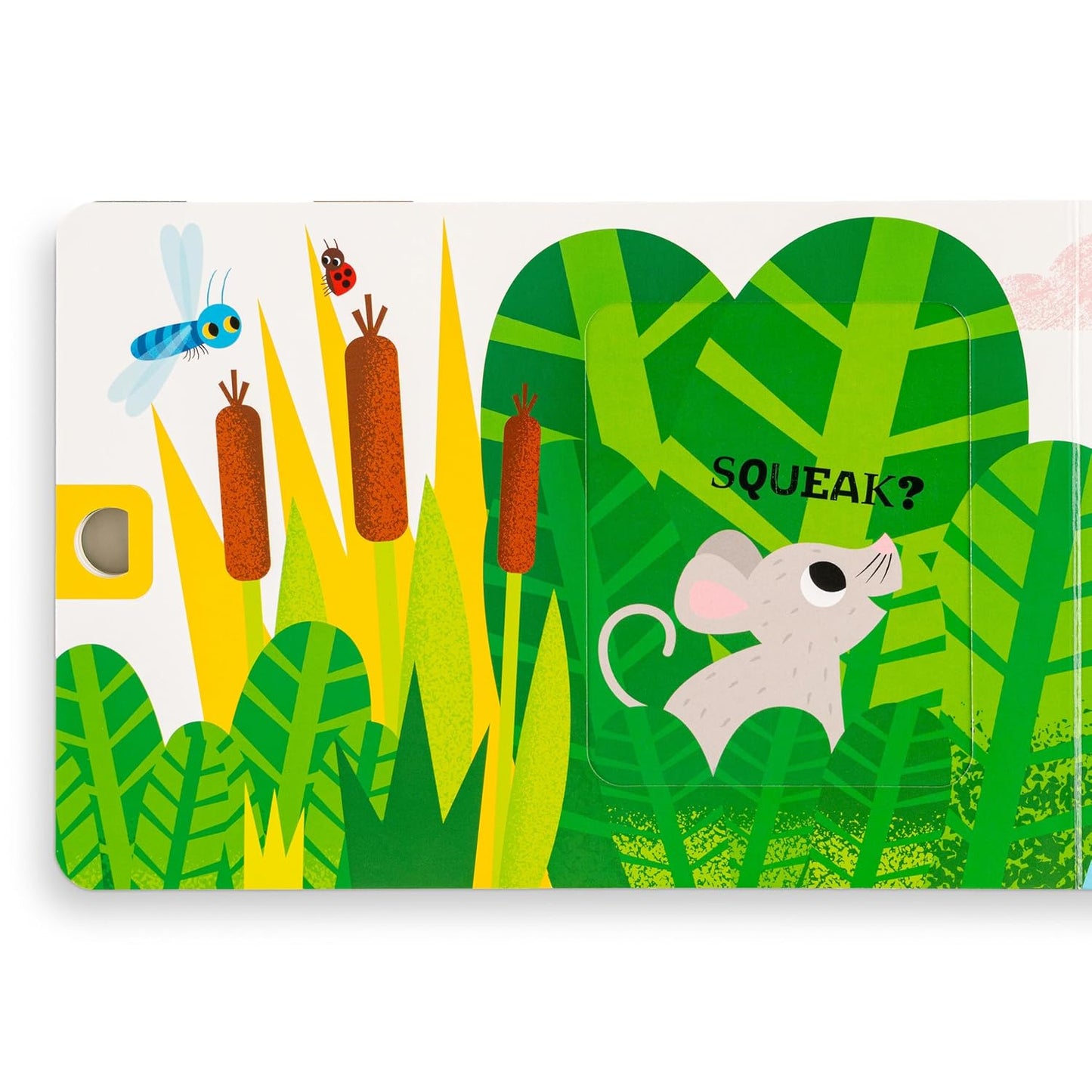 Squeak! Board book