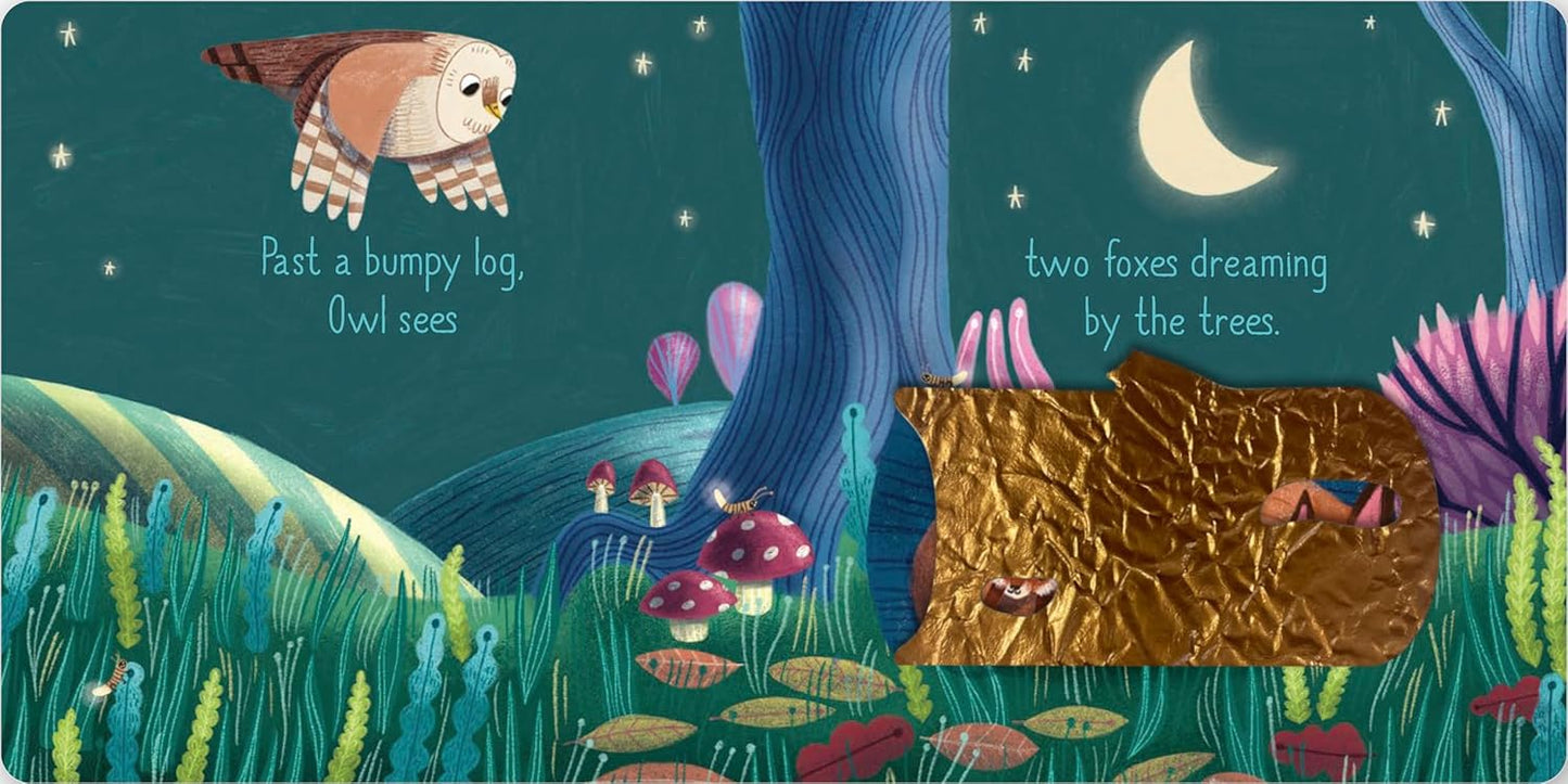Sweet Dreams Touch-and-Feel Flaps