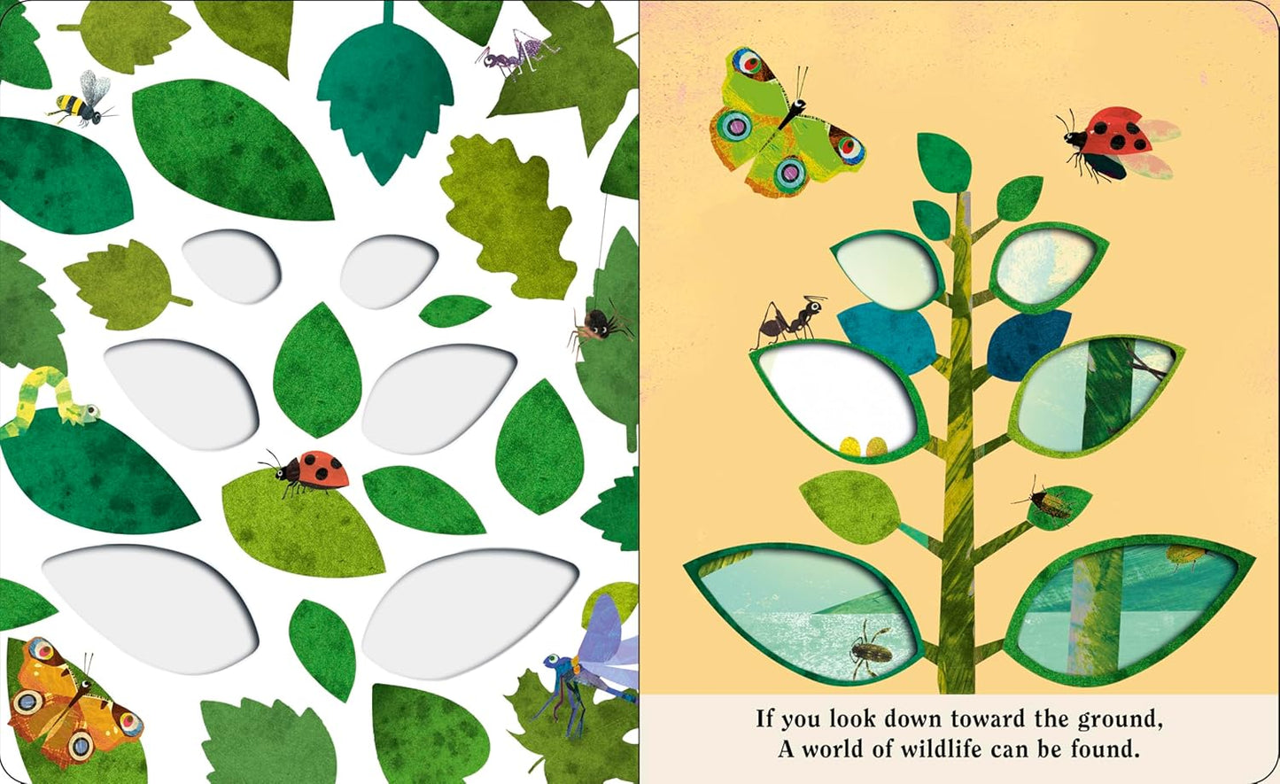 Bugs A Peek-Through Board Book