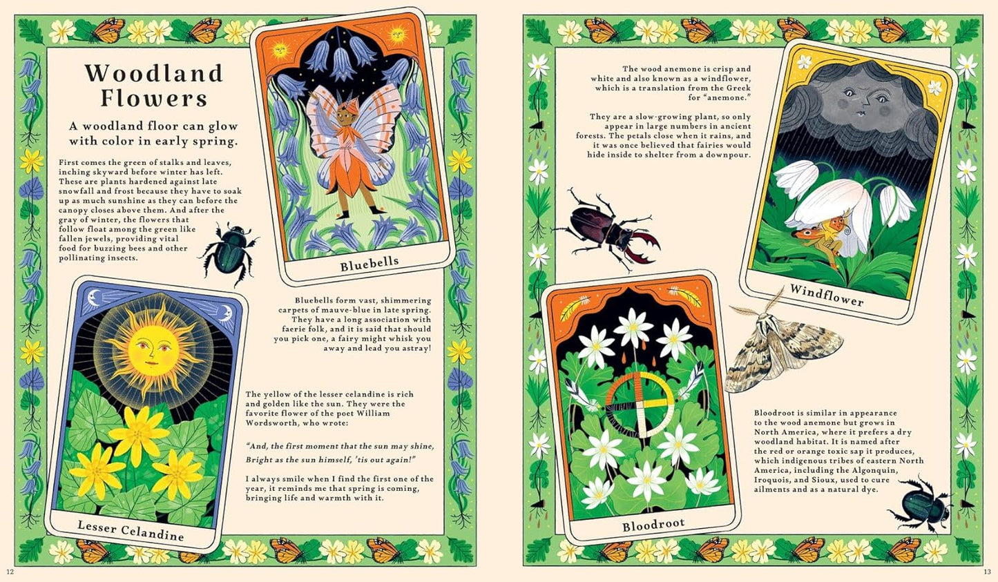 Woodlore Discover the Seasons and Stories of the Forest