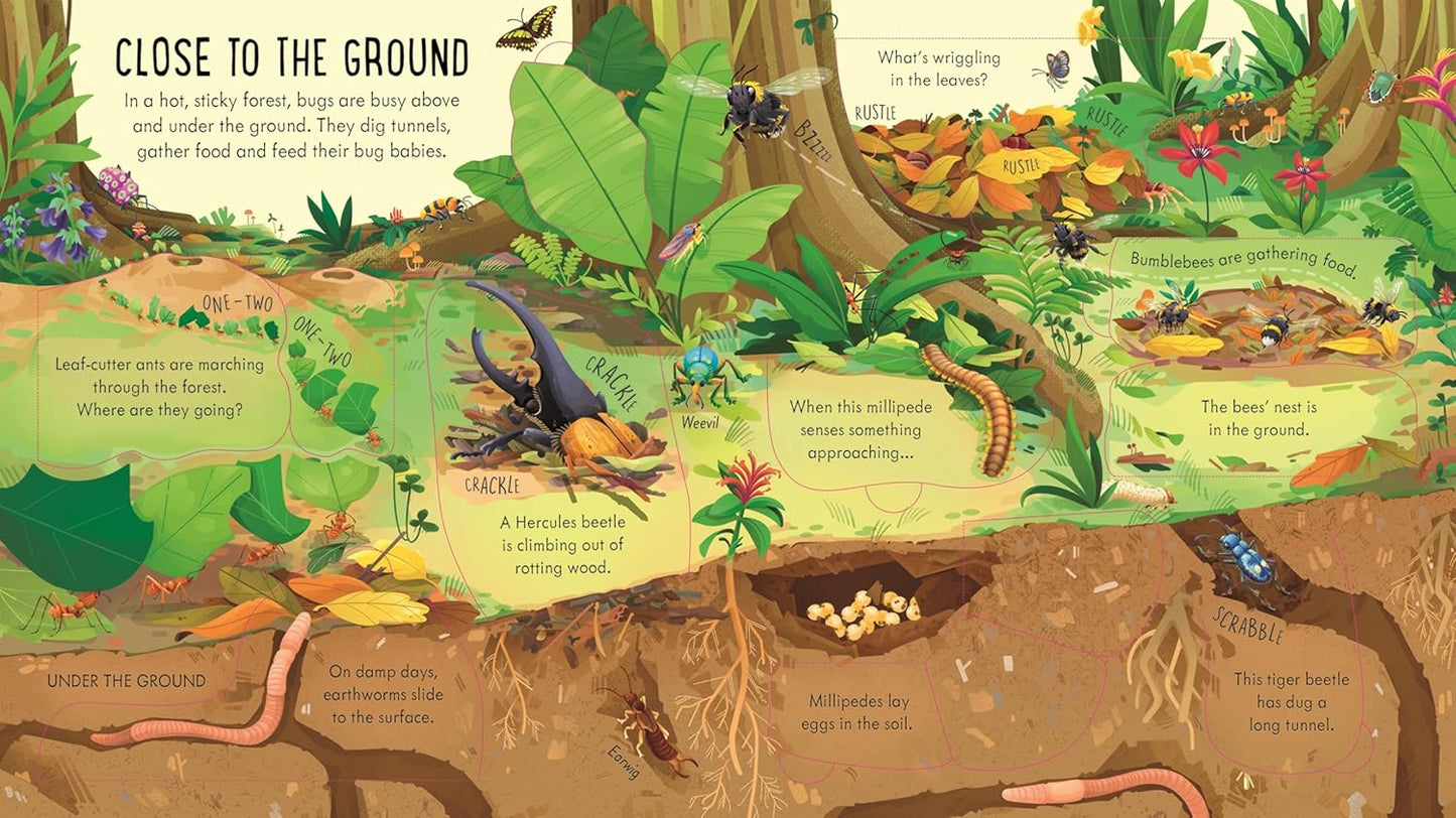 Look Inside Bug World