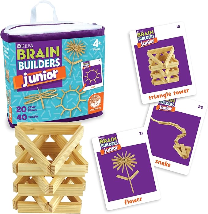 Junior Brain Builders Playset