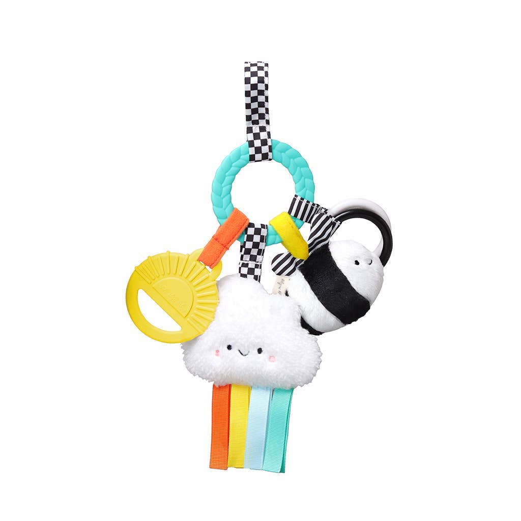 *New Option* Bitzy Busy Ring™ Teething Activity Toy