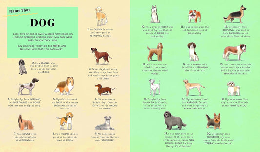 Name That Thing: Stretch your Brain Power with 20 Picture Quizzes