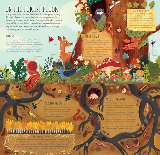 Make and Play: Build A Tree: Build a 12-inch Oak Tree! Includes a 32-page Book and 40+ Model Pieces