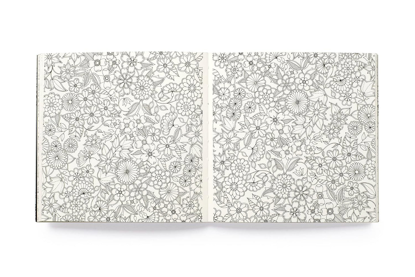 Miniature Secret Garden: A pocket-sized coloring book