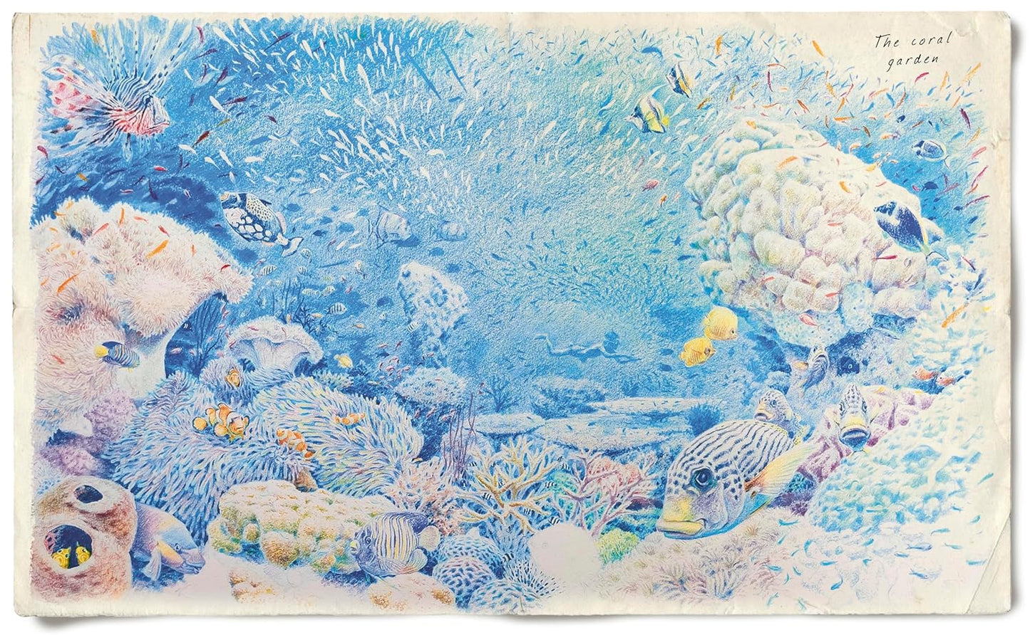 The Lost Book of Undersea Adventure