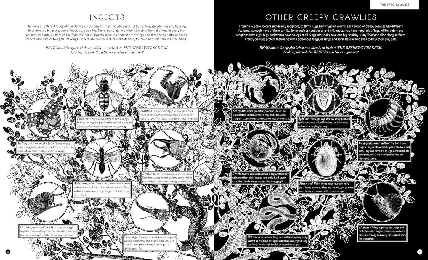 Illumibugs Explore the world of mini beasts with your magic 3 color lens