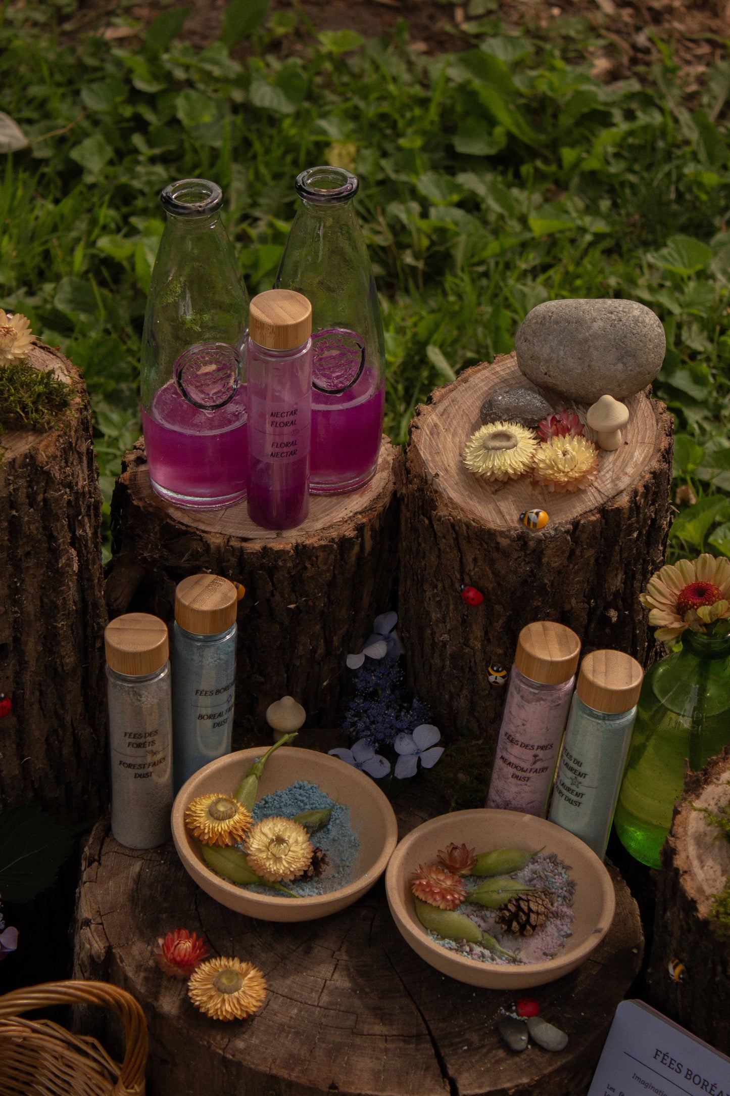Fairy Dust - Magic Potion Kit