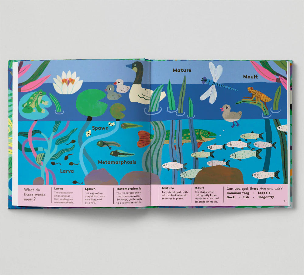 Little Word Whiz: AnimalL Words for Little Zoologists