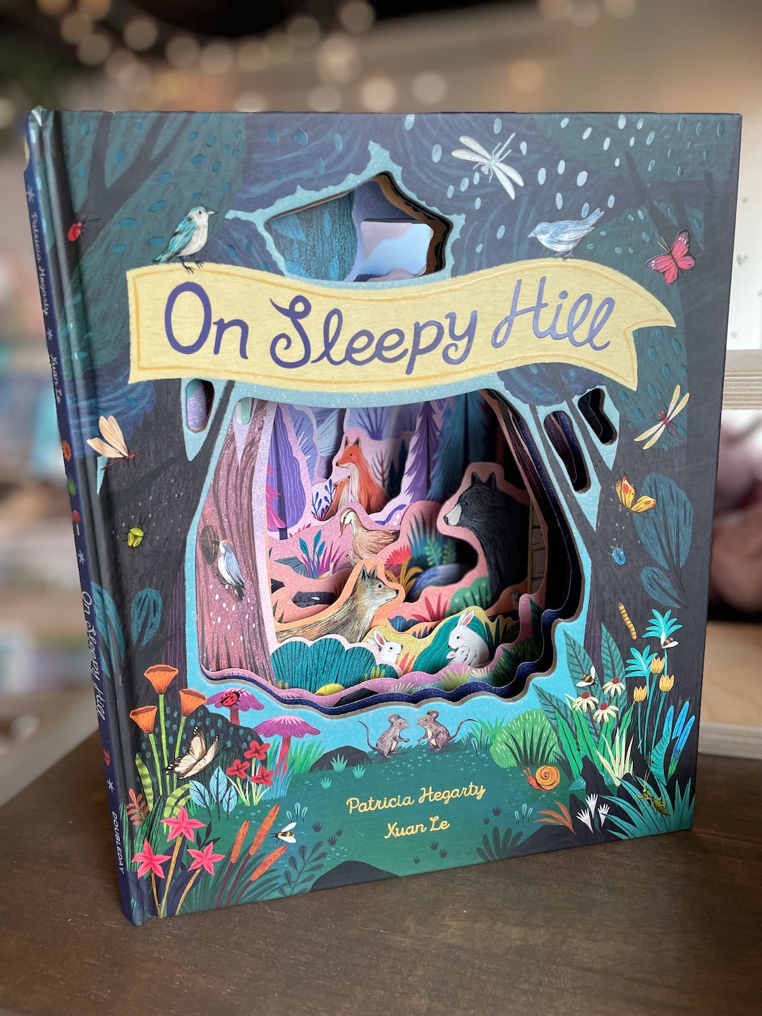On Sleepy Hill - Book