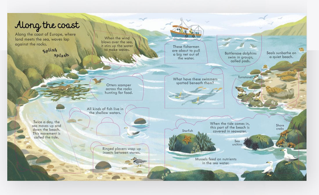 Look Inside Sea and Oceans