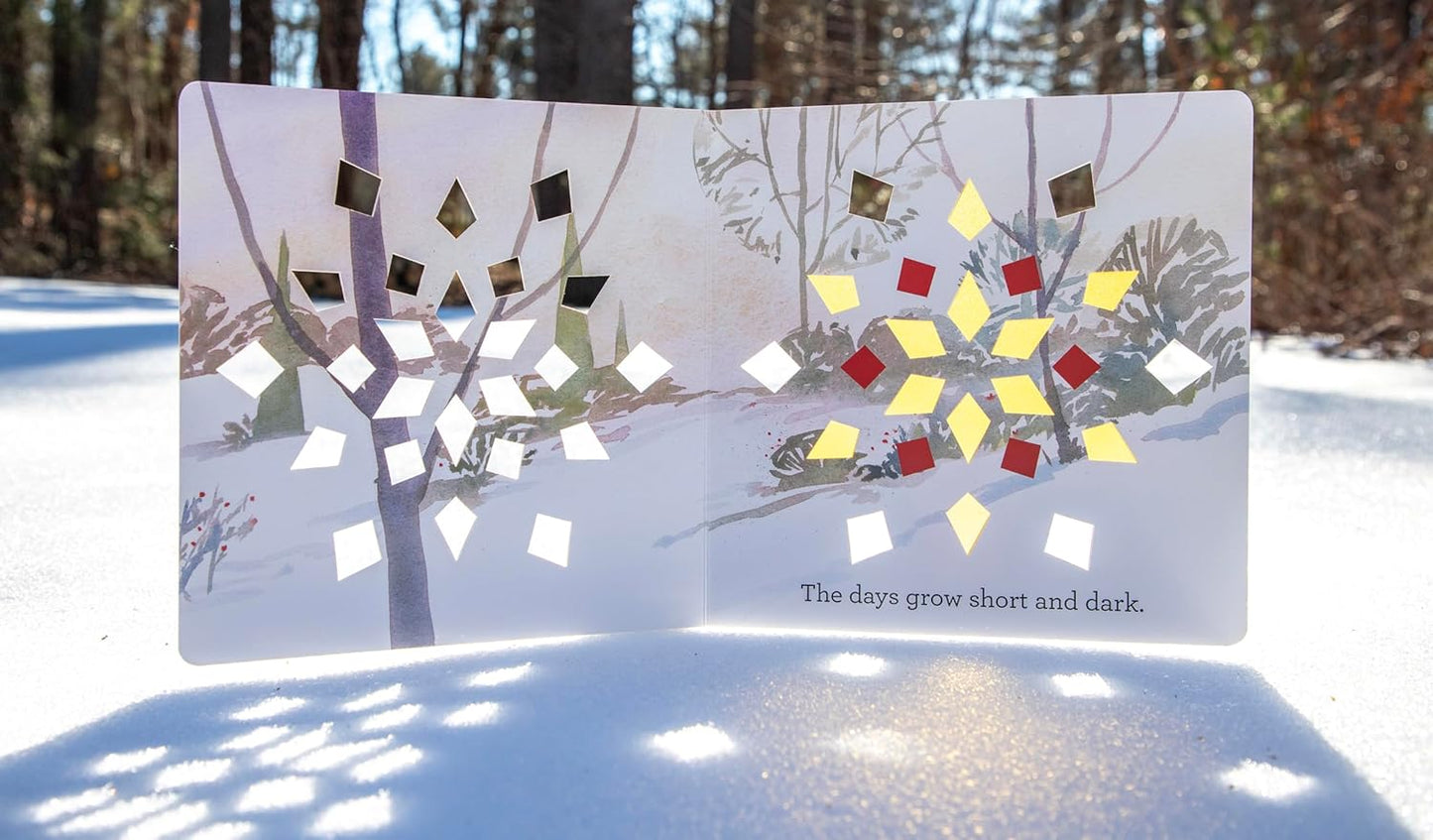 Winter Light - Aaron Becker