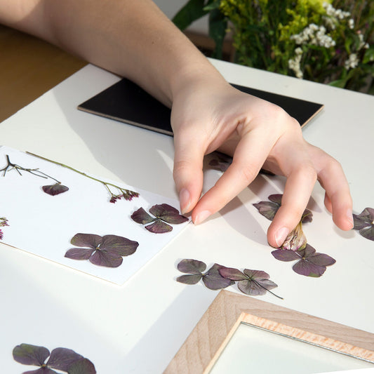 Make Your Own Pressed Flower Frame Art