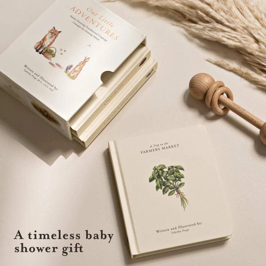 Our Little Adventures: Stories Featuring Foundational Language Concepts For Growing Minds