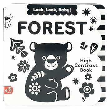Look Look Baby Forest Board Book