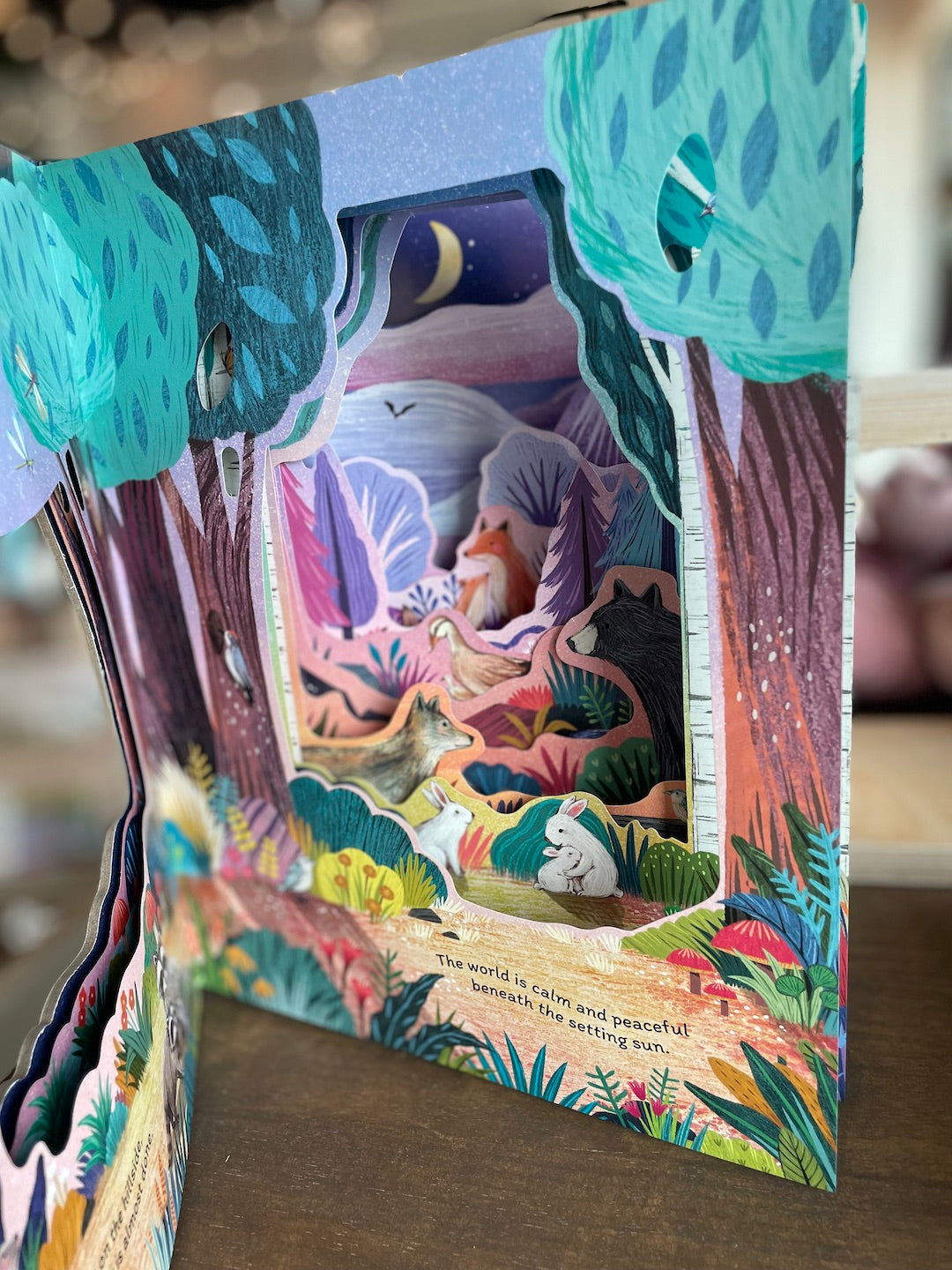 On Sleepy Hill - Book