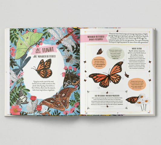 Buzz A Family Guide to Bugs and Bees and How to Spot Them