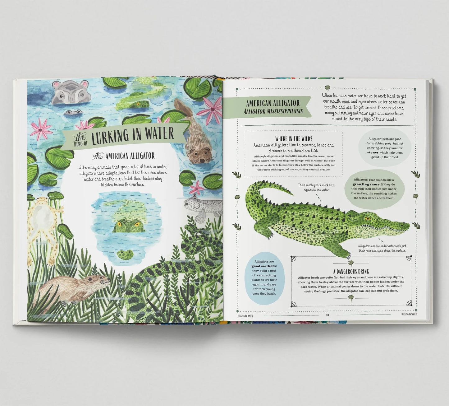 Wild - A Family Guide to the Animal Kingdom