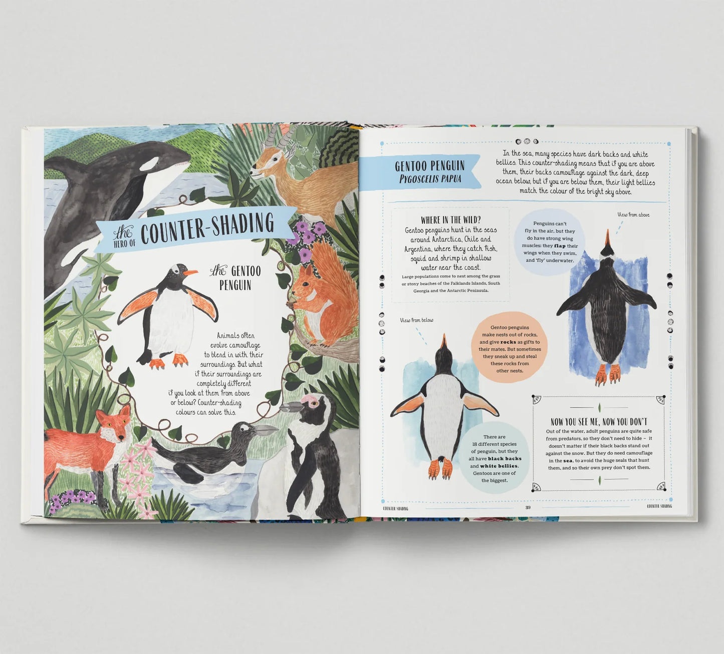 Wild - A Family Guide to the Animal Kingdom