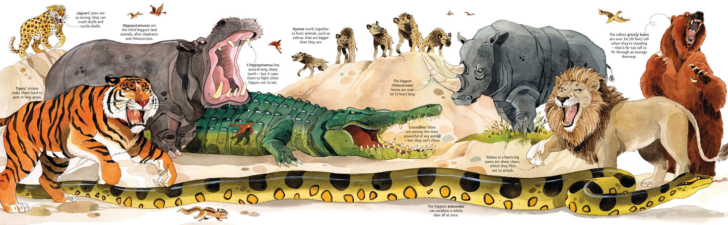 Big Book of Big Animals