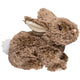 Mocha Bunny