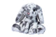 Bouncie Spotted Bunny Softie