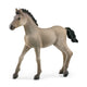 Schleich - Criollo Definitivo Foal