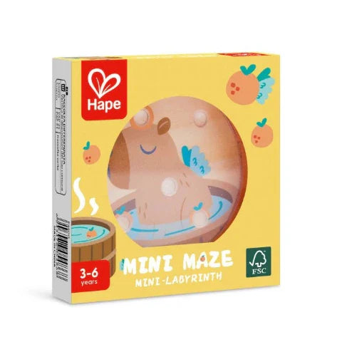 Mini Maze
