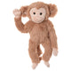 Bukowski Bernard Chimp
