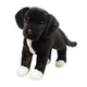 Douglas Toys - Twister Black Lab/Pit Bull Mix